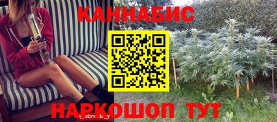 скорость Будённовск
