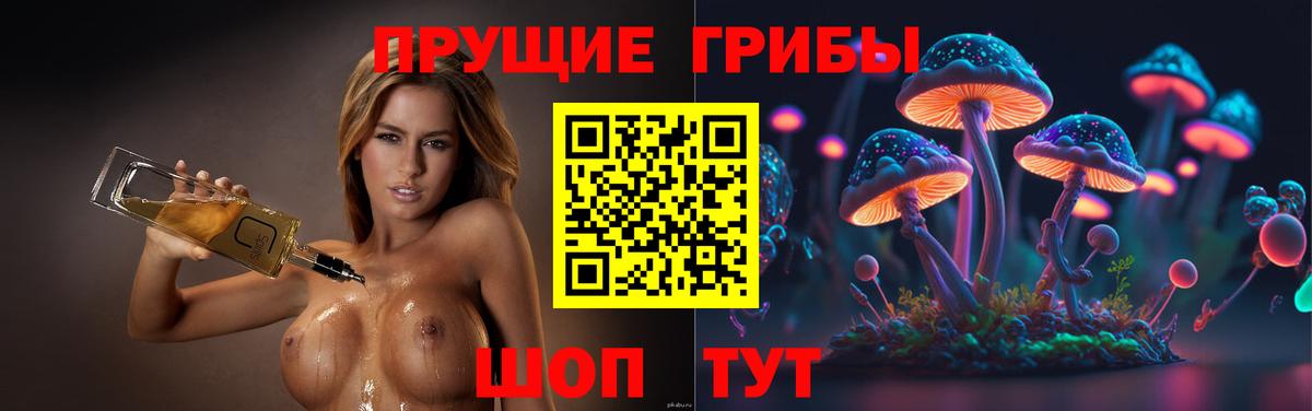 Галлюциногенные грибы Psilocybe  Псилоцибиновые грибы GOLDEN TEACHER  Светлоград  закладка  Вход с VPN 
